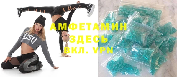 ГАЛЛЮЦИНОГЕННЫЕ ГРИБЫ Богданович