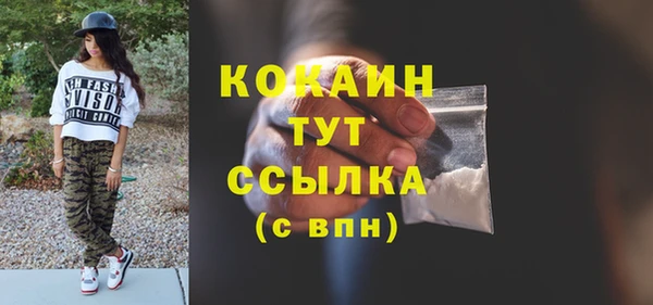 ГАЛЛЮЦИНОГЕННЫЕ ГРИБЫ Богданович