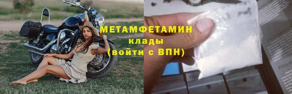 ГАЛЛЮЦИНОГЕННЫЕ ГРИБЫ Богданович