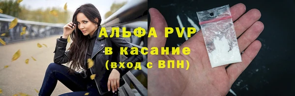 ГАЛЛЮЦИНОГЕННЫЕ ГРИБЫ Богданович