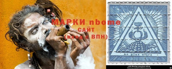 ГАЛЛЮЦИНОГЕННЫЕ ГРИБЫ Богданович
