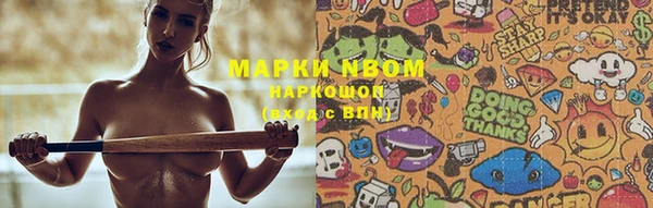 ГАЛЛЮЦИНОГЕННЫЕ ГРИБЫ Богданович